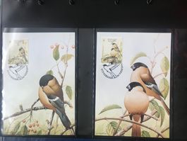 WWF Portugal Azoren 1990 Gimpel Satz Maximumkarten