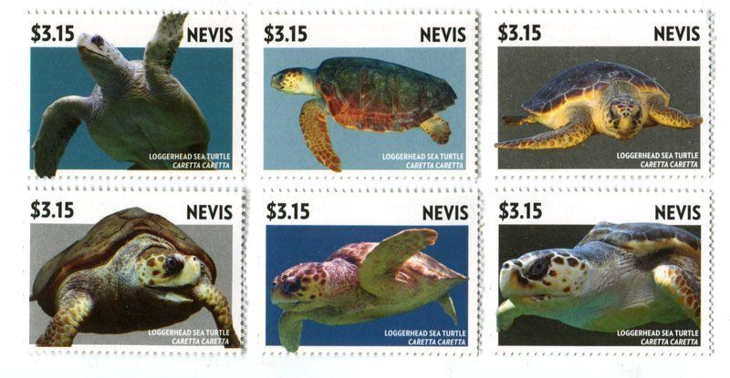 Tutti i francobolli: Briefmarken "Schildkröten". Nevis – Nuovo e nell'imballaggio originale da Basel venduto da Butsch5