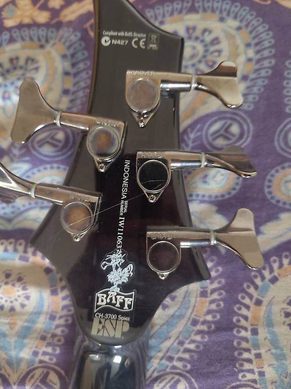 Strumenti musicali: E-Bass ESP LTD – Usato da Bern venduto da Sev20061996 2