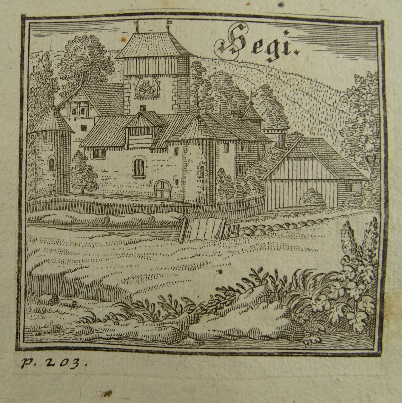 Incisioni: HEGI, KUPFERSTICH, BLUNTSCHLI 1742 – Usato da Grüningen venduto da Kartensammler