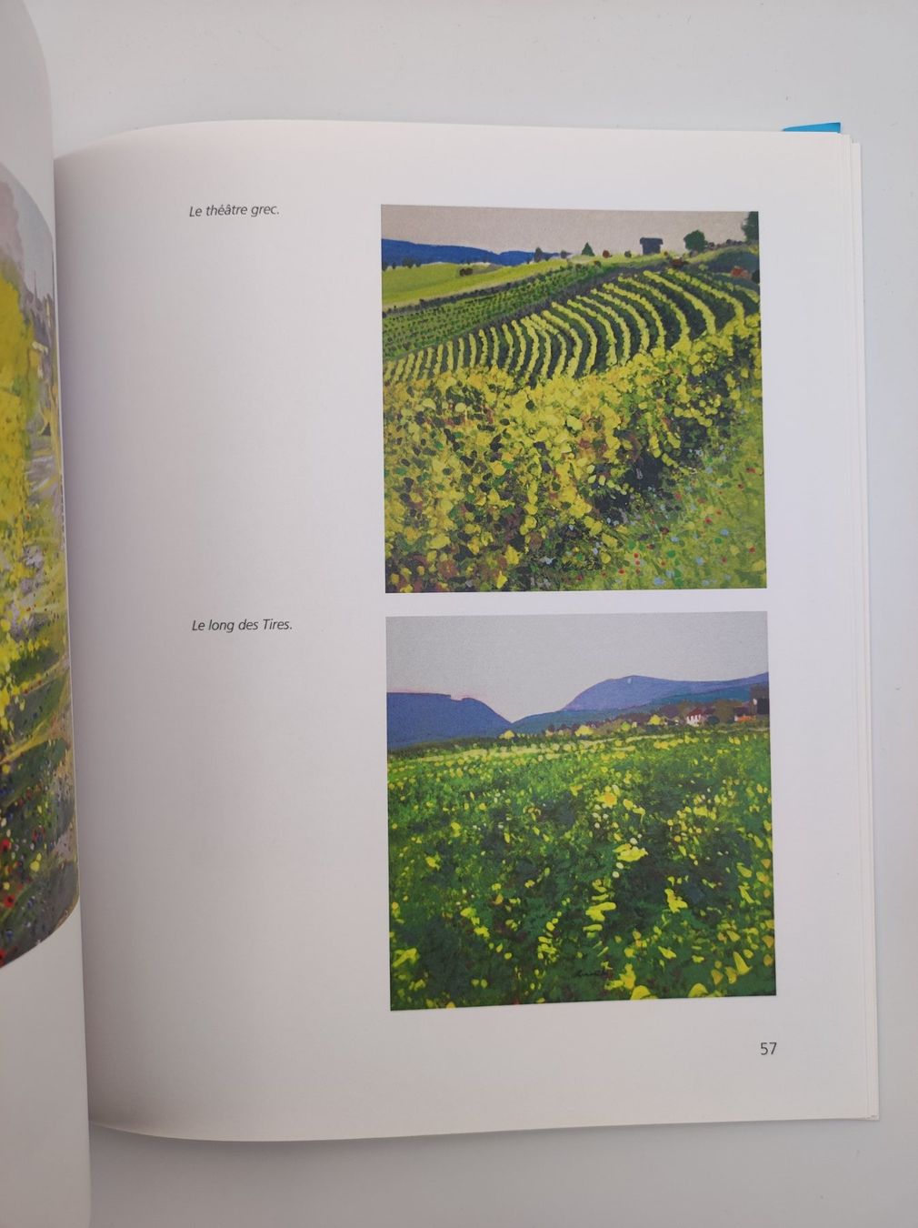 Libri: WEIN - PATRICE ALLANFRANCHINI – Usato da Goldach venduto da Gaip 6