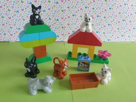 Duplo (Y77) Set Katzen