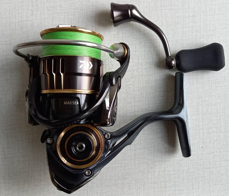 Daiwa Theory 2004 | Kaufen auf Ricardo