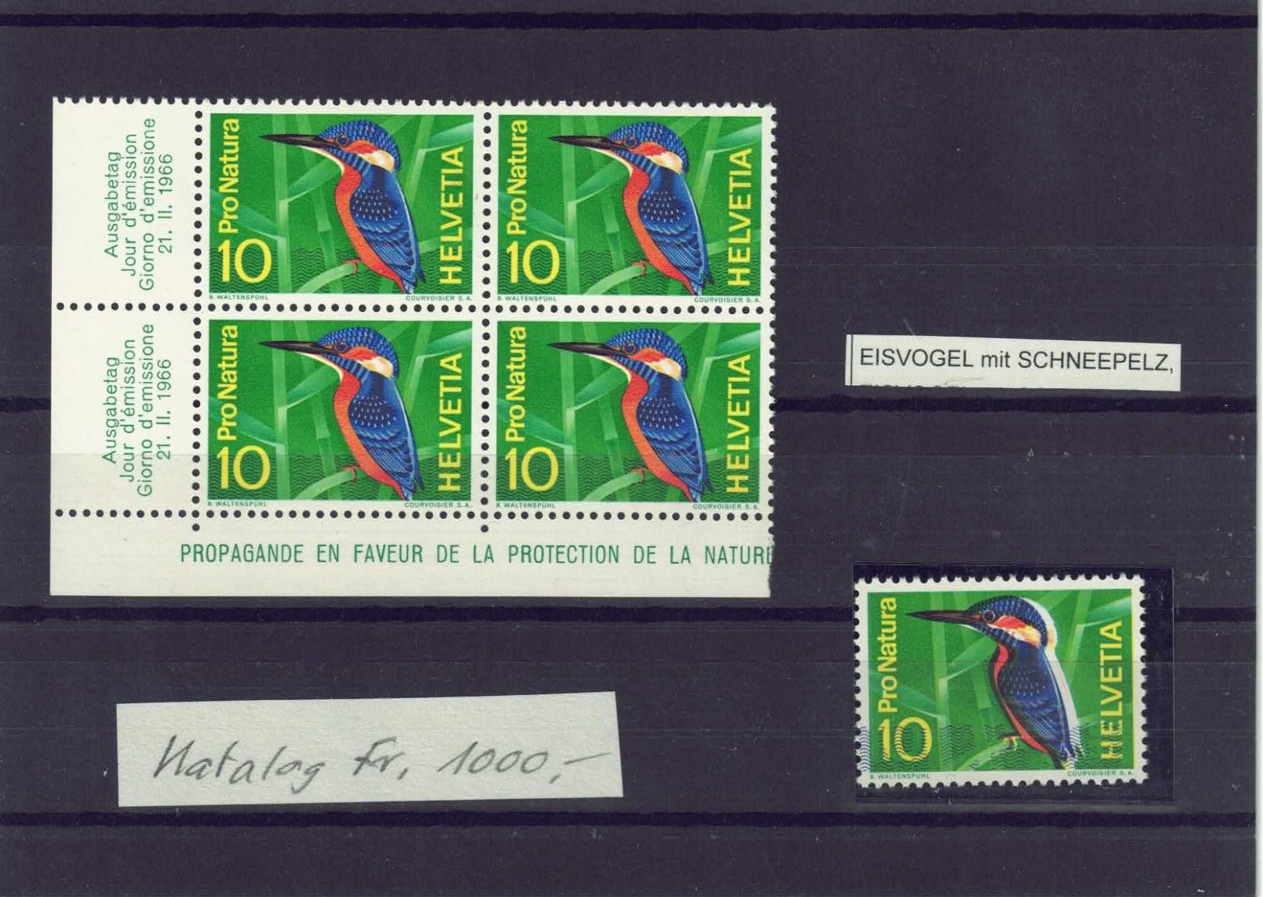 Tutti i francobolli: Eisvogel mit Schneepelz, postfrisch 1966 – Usato da Olten venduto da Pjotr8 2