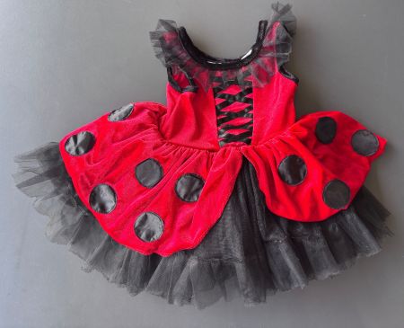 Fairy Dust Ladybug Costume Dress 2T