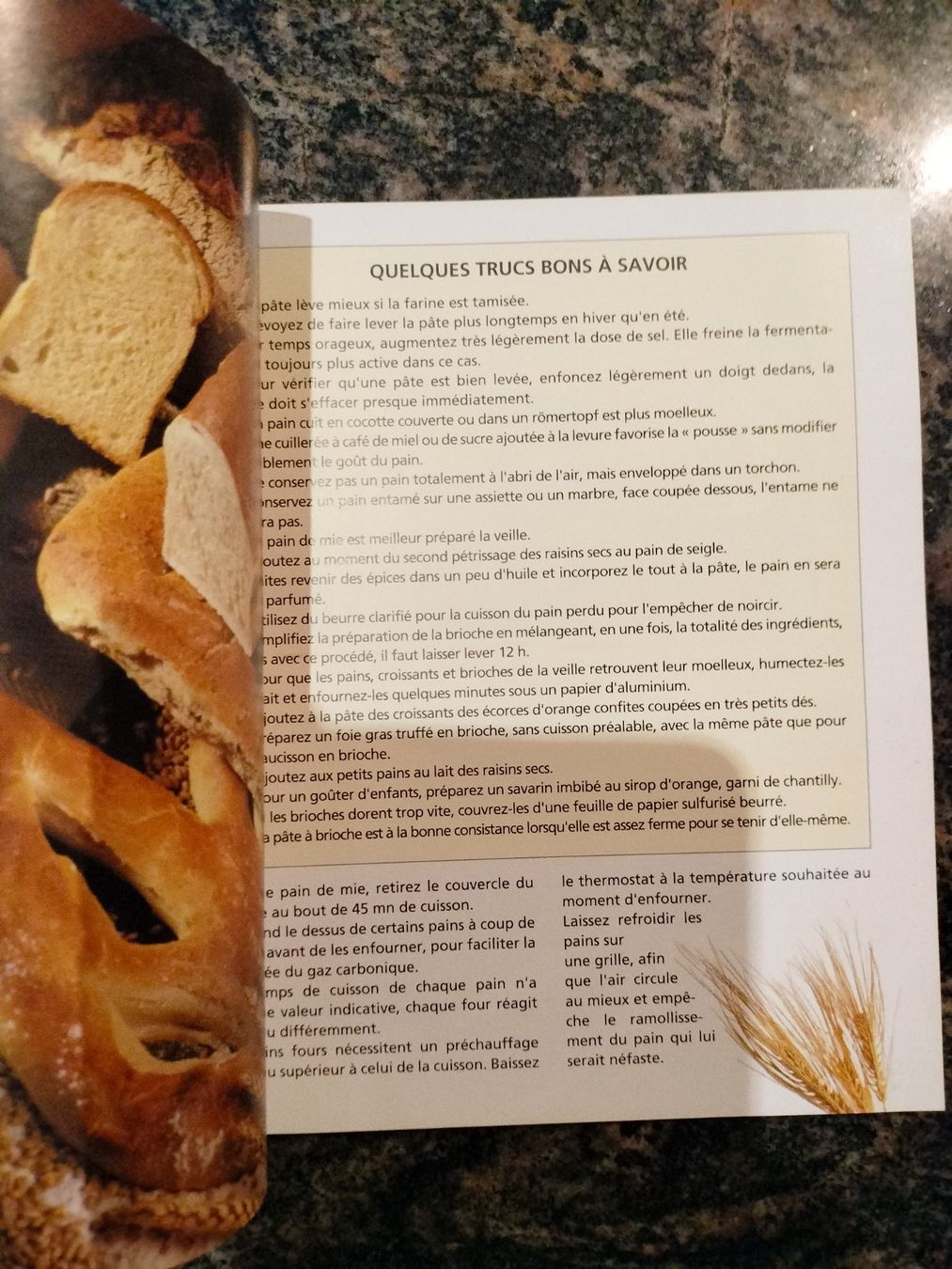 Bücher: Pains Minouche Pastier Hachette Pratique – Gebraucht aus Cortaillod von rozinna 1