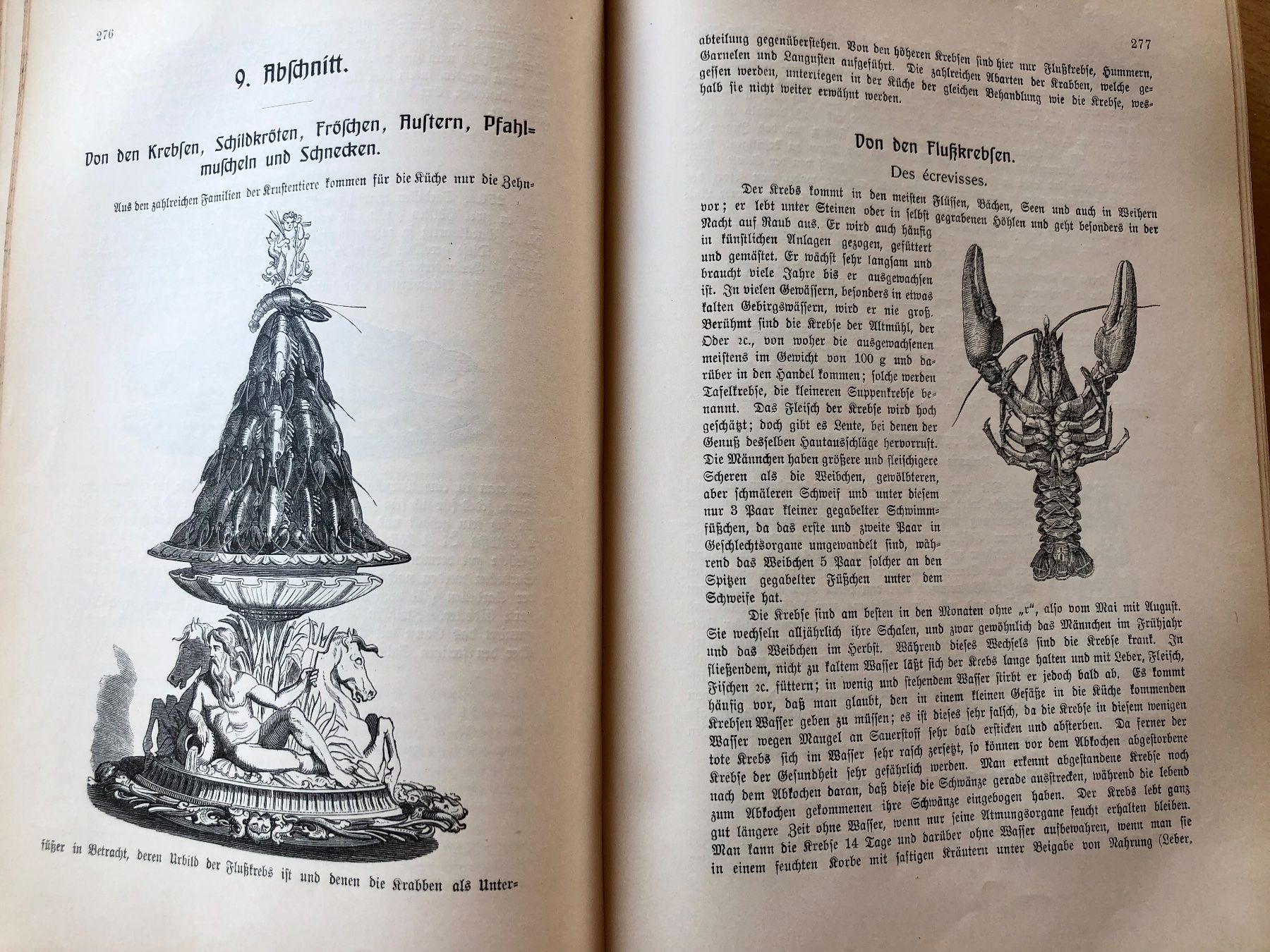 Bücher: Rottenhöfer Kochbuch, 1905 – Gebraucht aus Burgdorf von Attalos 3