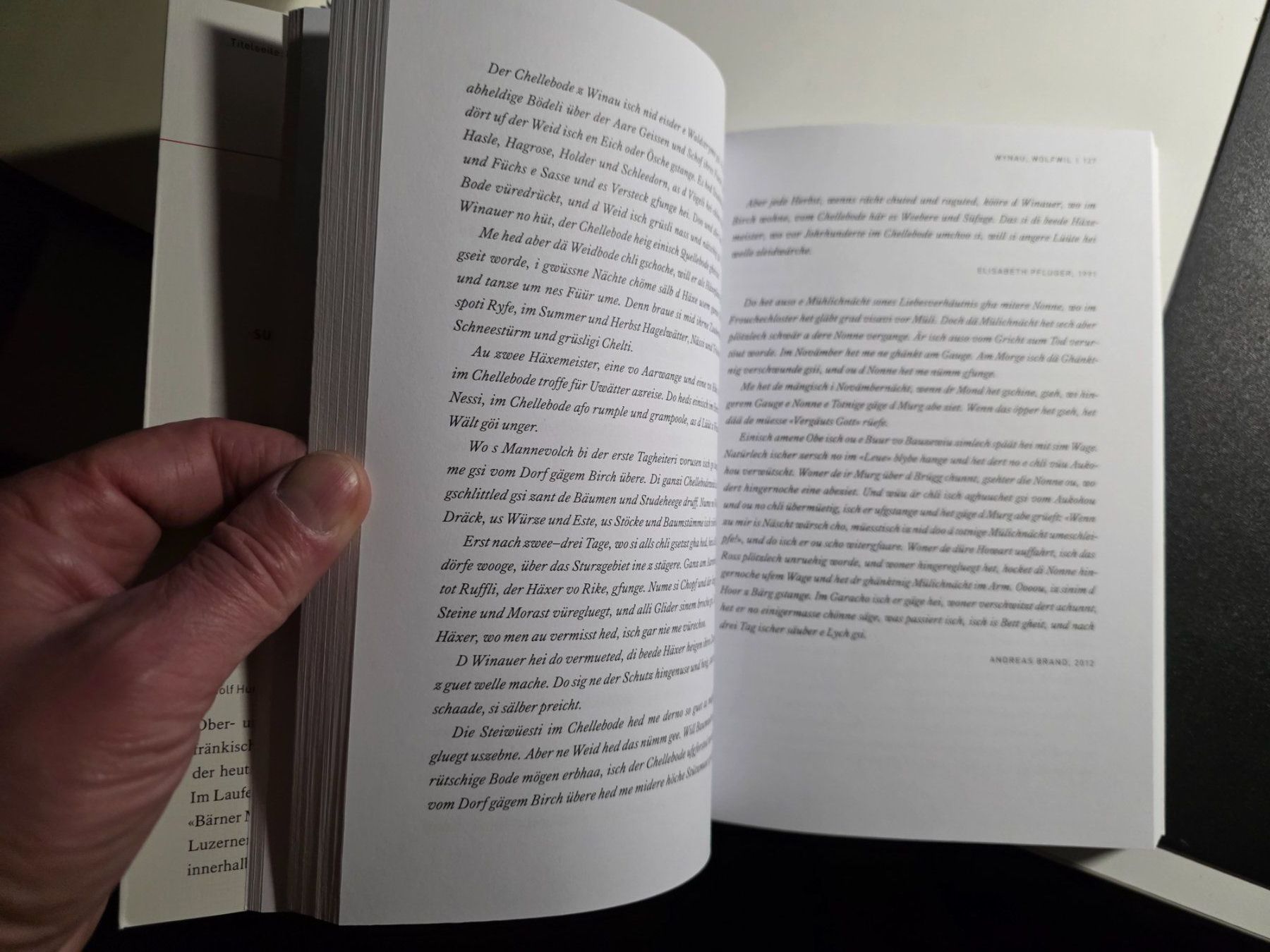 Libri: Geschichte(n) rund um den Dreiländerstein - 2017 – Usato da Walterswil BE venduto da Lonitti 5