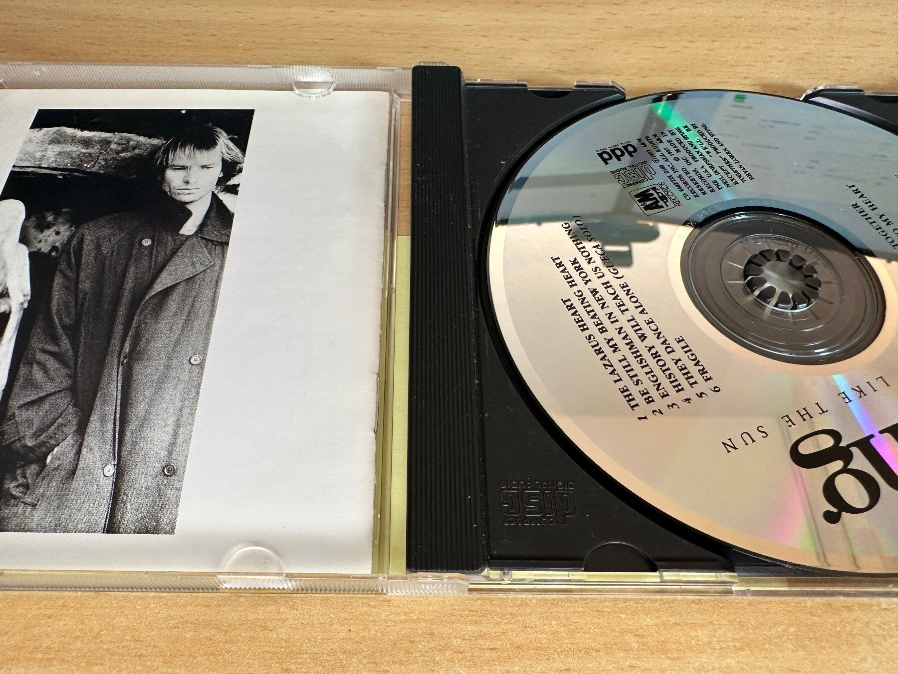 CD: Sting – ...Nothing Like The Sun – Usato da Rikon im Tösstal venduto da Alpenmutz 2