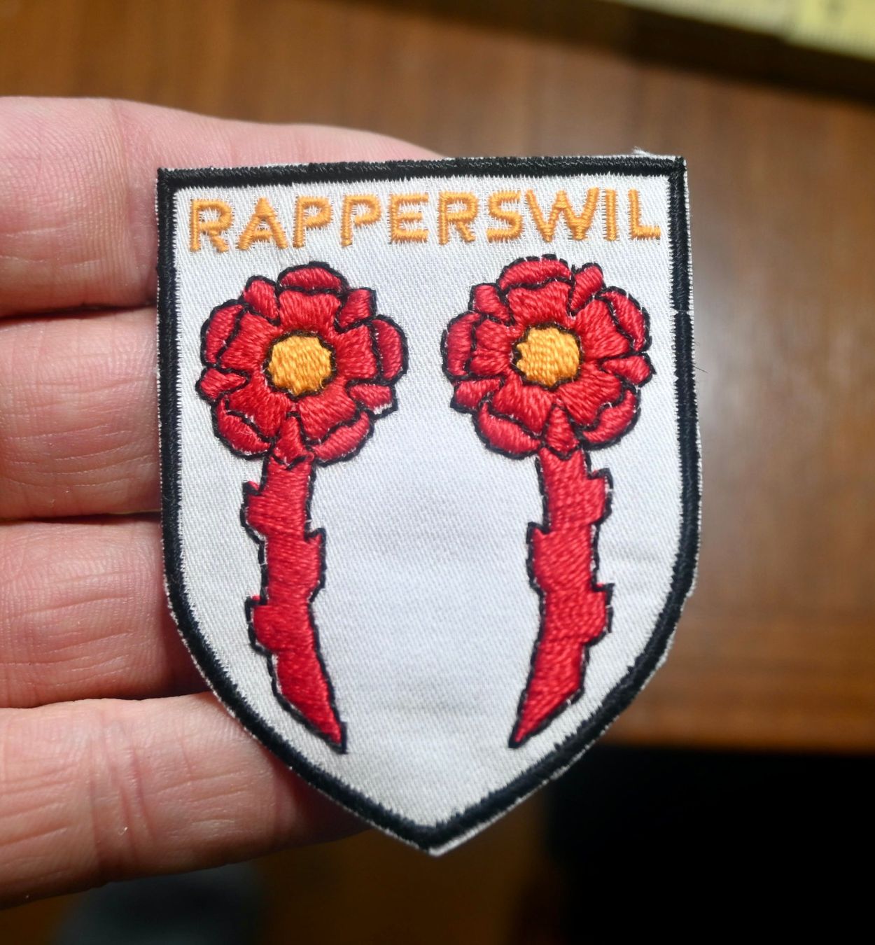 Swiss Placchette & Badge: WAPPEN  Rapperswil PATCH badge AUFNÄHER – Usato da Pfaffhausen venduto da mono_rec