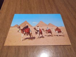 Ansichtskarte Arab Camelriders in front