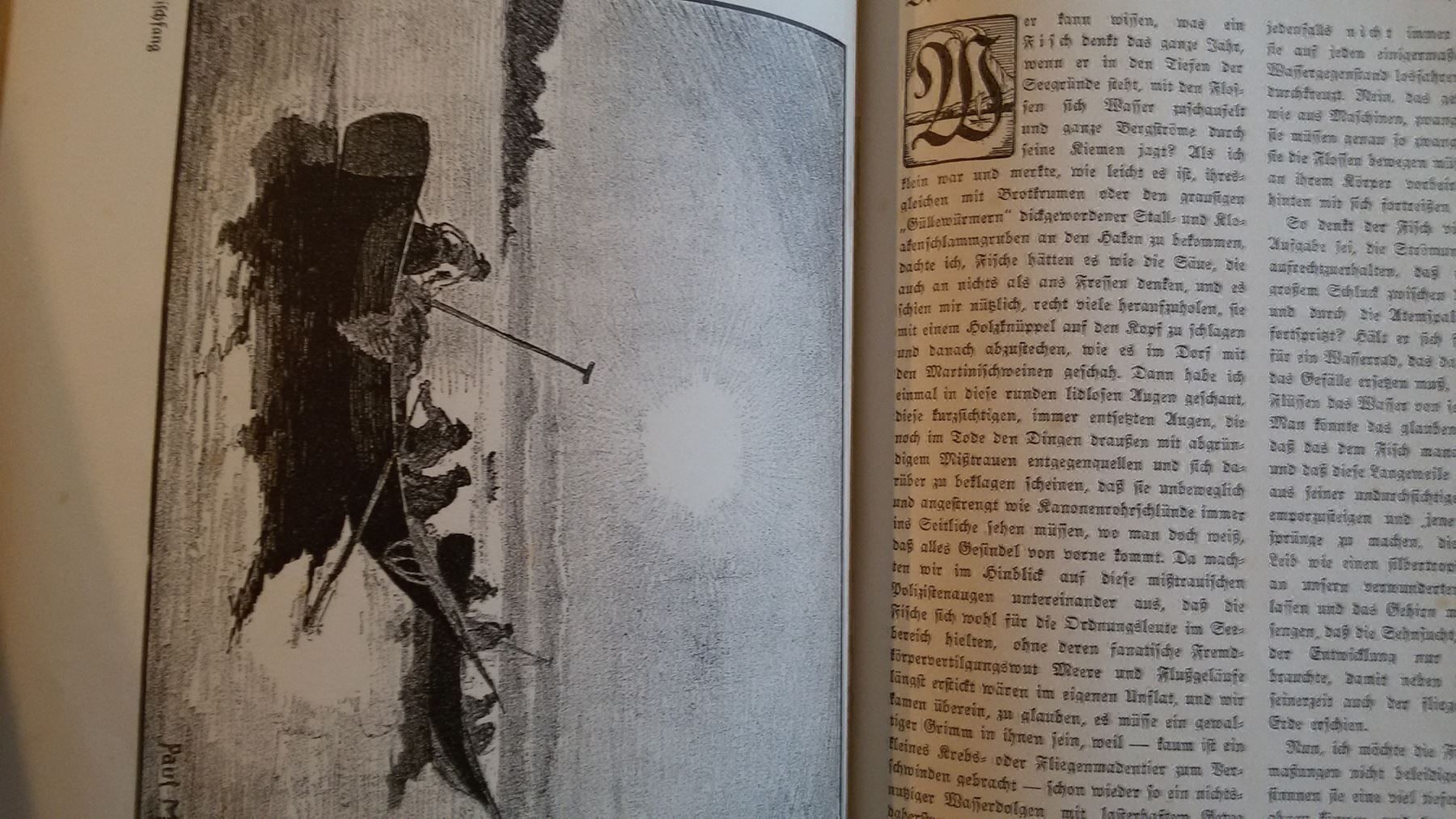 Libri: Bodensee Buch 1917 – Antico da Bischofszell venduto da Joachim-115 2