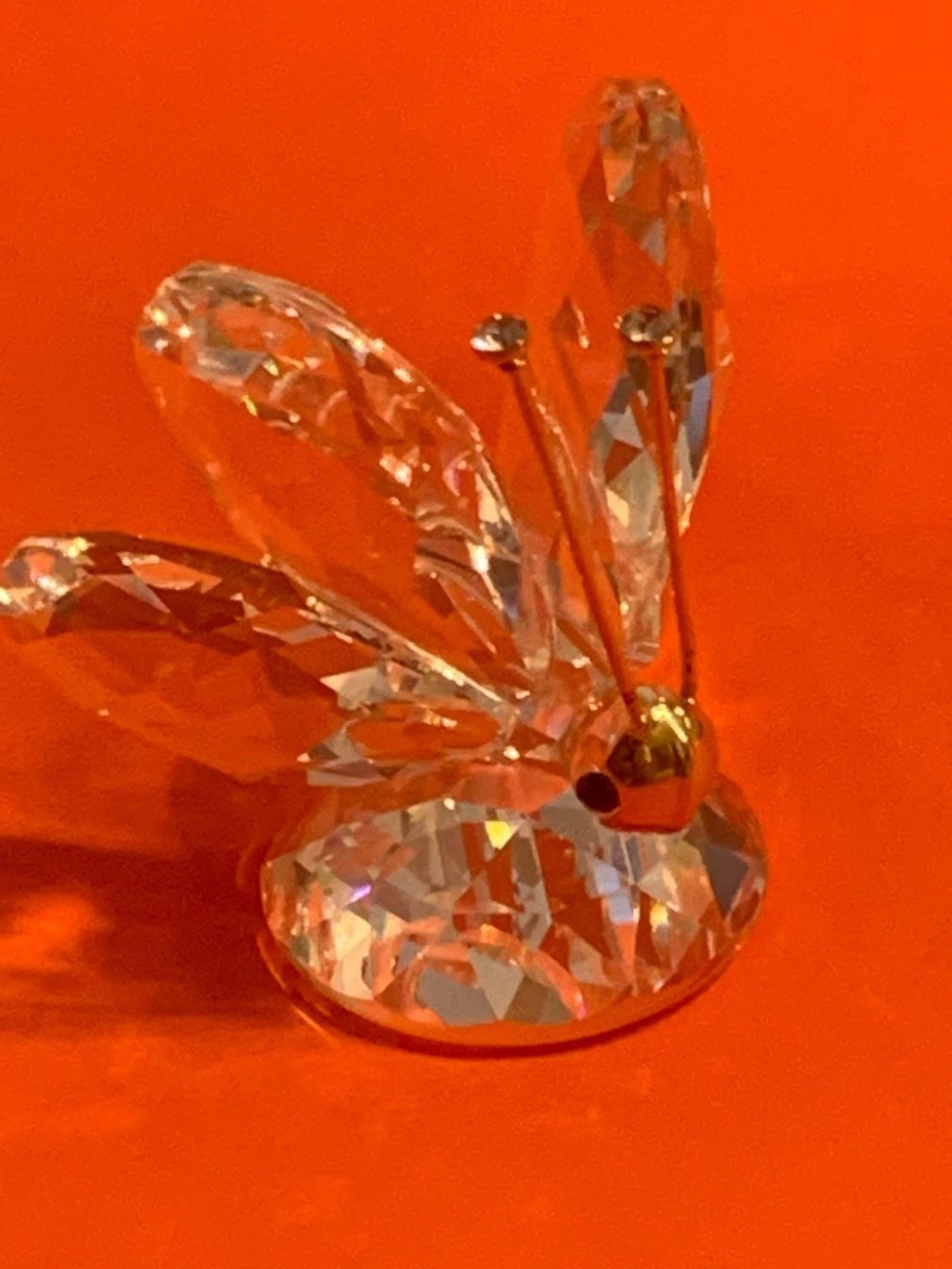 Swarovski Figuren: Swarovski Grosser Schmetterling – Neu (gemäss Beschreibung) aus Oberglatt ZH von Multimix 4