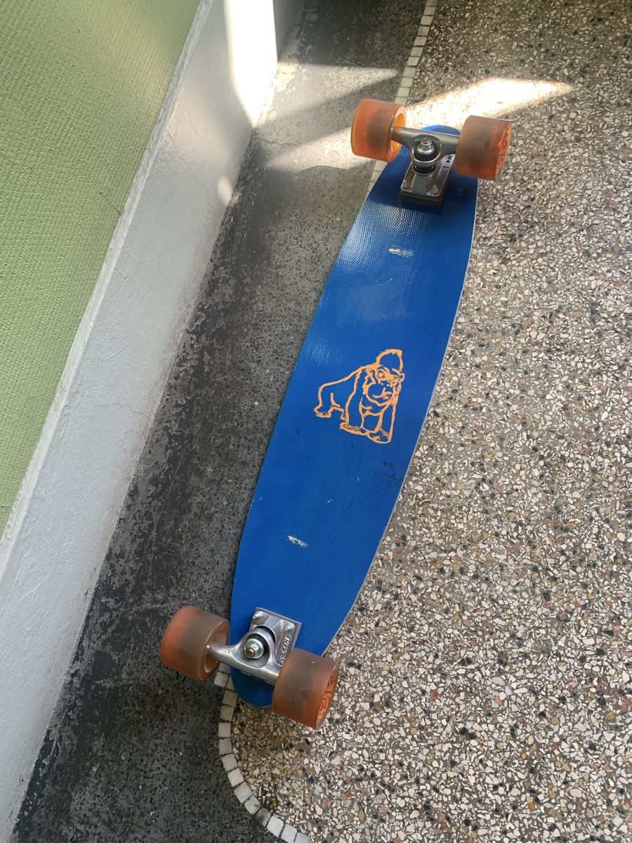 Skateboards: Longboard blau mit Tracker Race Trax trucks – Usato da Zürich venduto da MerlinLev 1