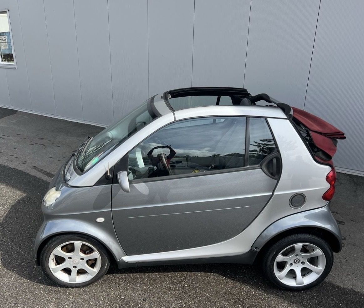 Smart Automobili: Smart Cabrio – Usato da Meisterschwanden venduto da Scania78