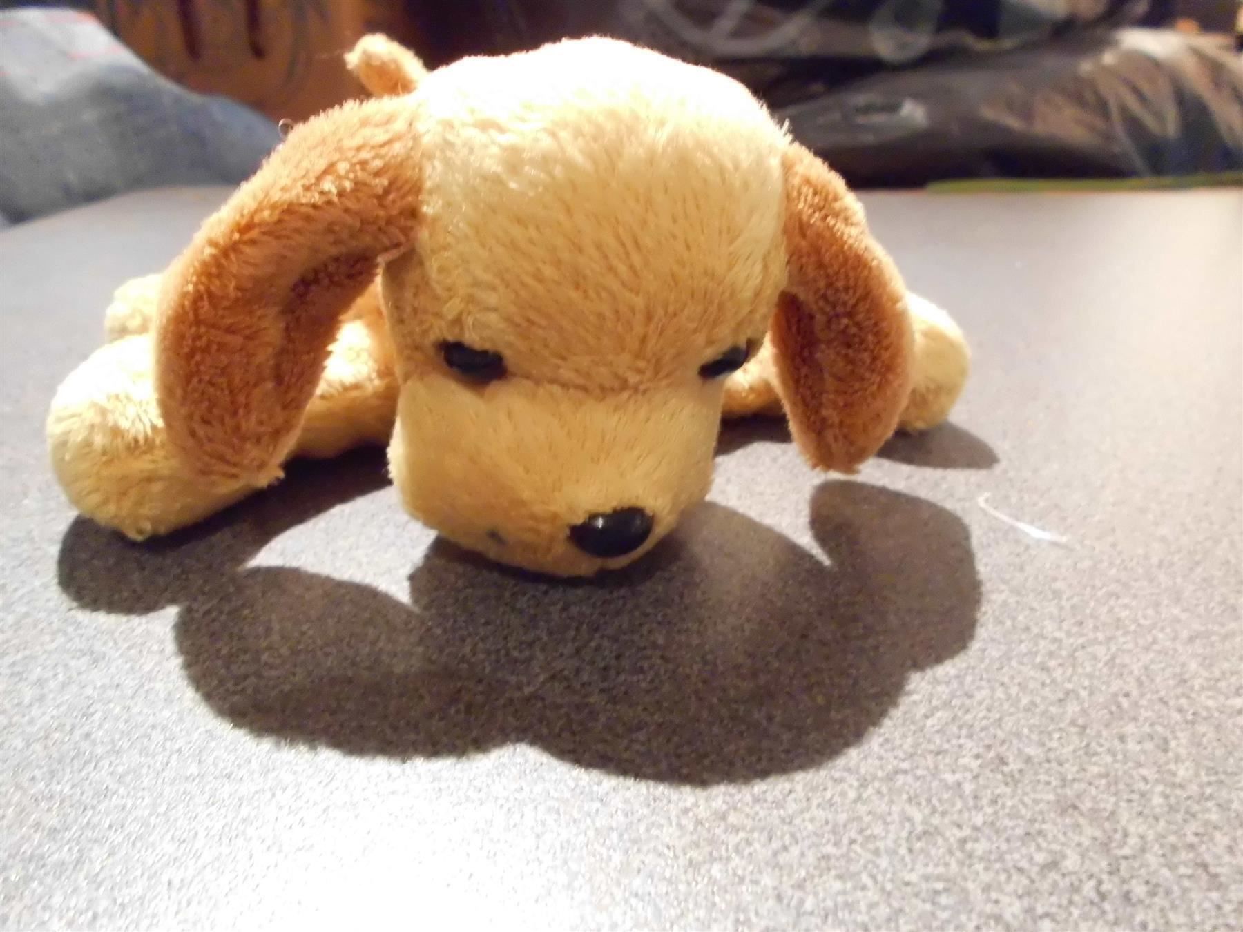 Jouets: Hund hellbraun / braune Ohren – D'occasion à Zürich par abraxas1291