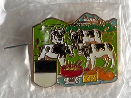Pin Simone Erni Kantonswappen Fribourg