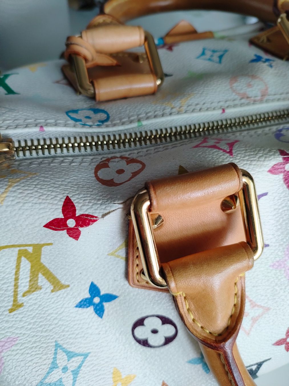 Louis Vuitton Borse da donna: Louis Vuitton Multicolor Handtasche – Usato da Richterswil venduto da Auric87 4