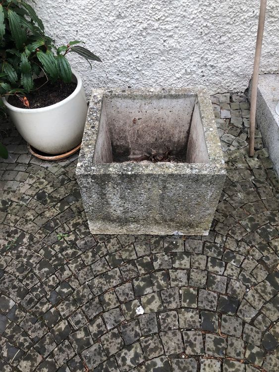 Massives Gefäss für Pflanzen Kaufen auf Ricardo
