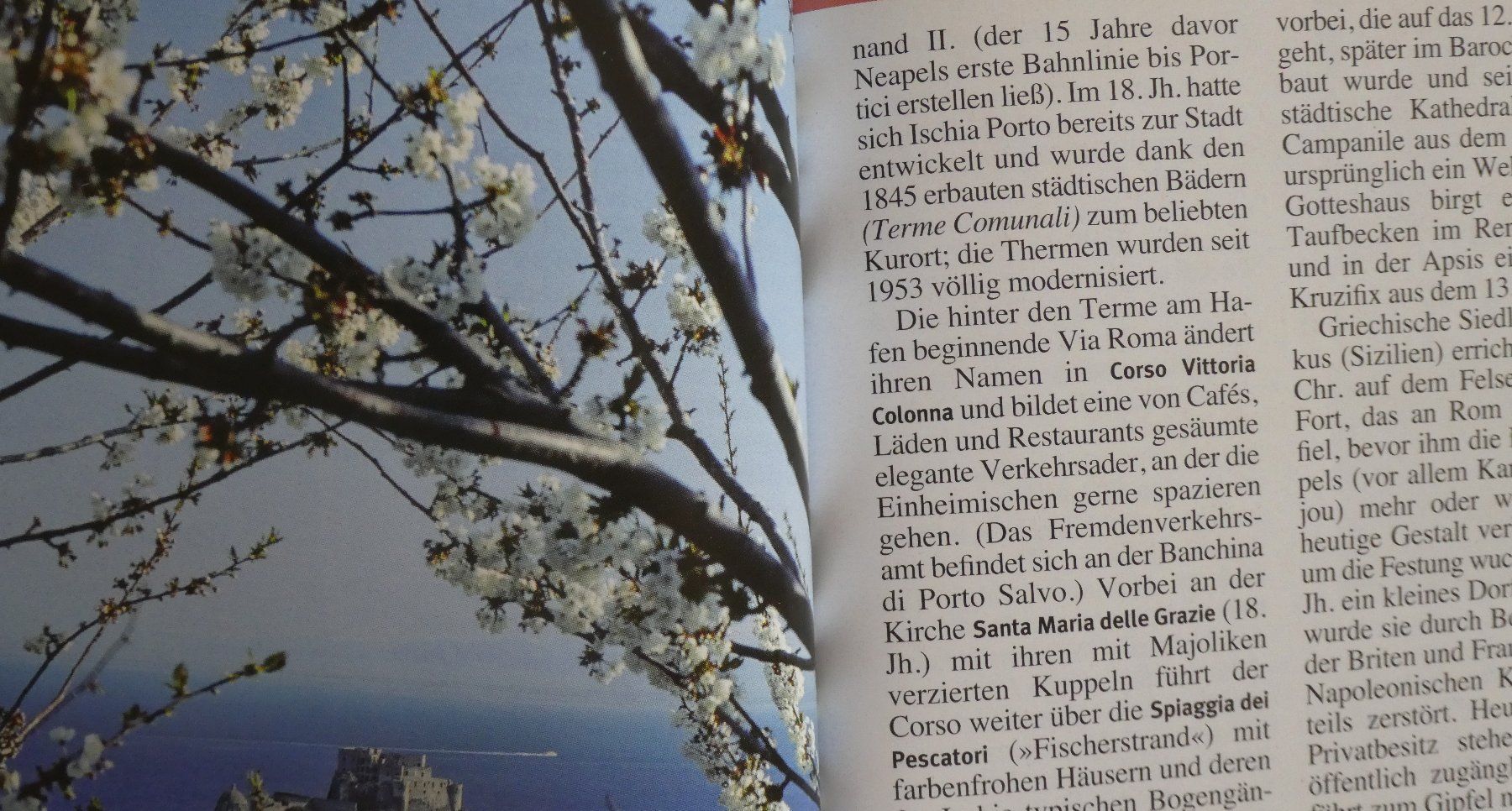 Libri: NEAPEL - JPM-Guides Reiseführer – Usato da Wettingen venduto da papageno48 2