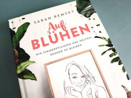 Auf Blühen - Zimmerpflanzen helfen Gesund zu bleiben