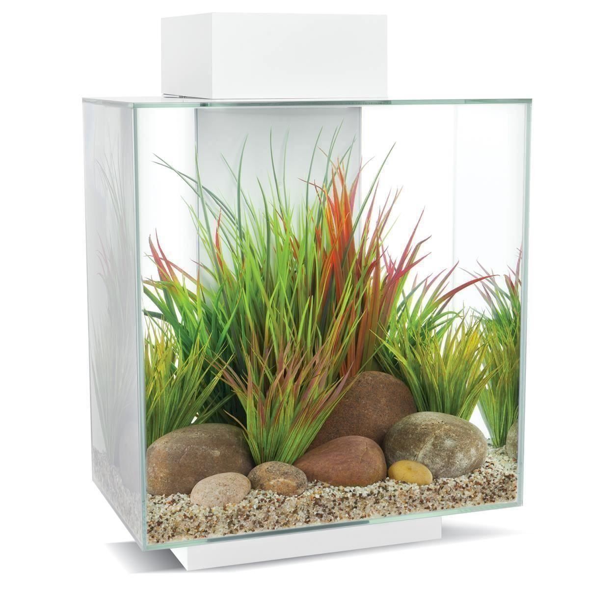 Aquarium: Fluval 15038 Edge 2.0 46l Aquarium Set – Neu und originalverpackt aus Bottighofen von zaap 1
