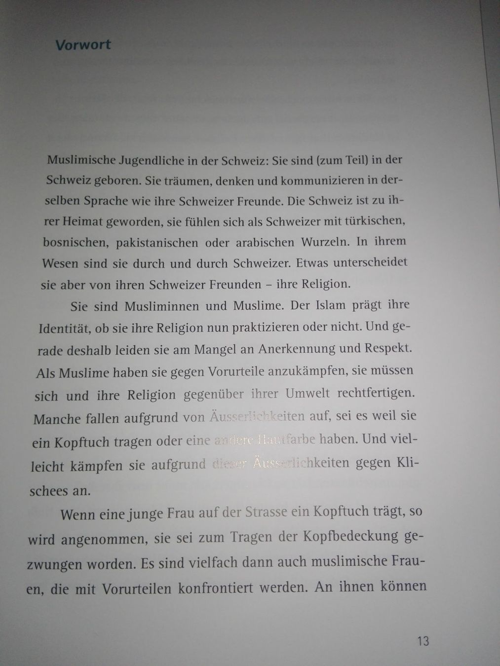 Bücher: Allahs Kinder sprechen Schweizerdeutsch  (Philipp Dreyer) – Gebraucht aus St.Gallen von elk2023 6