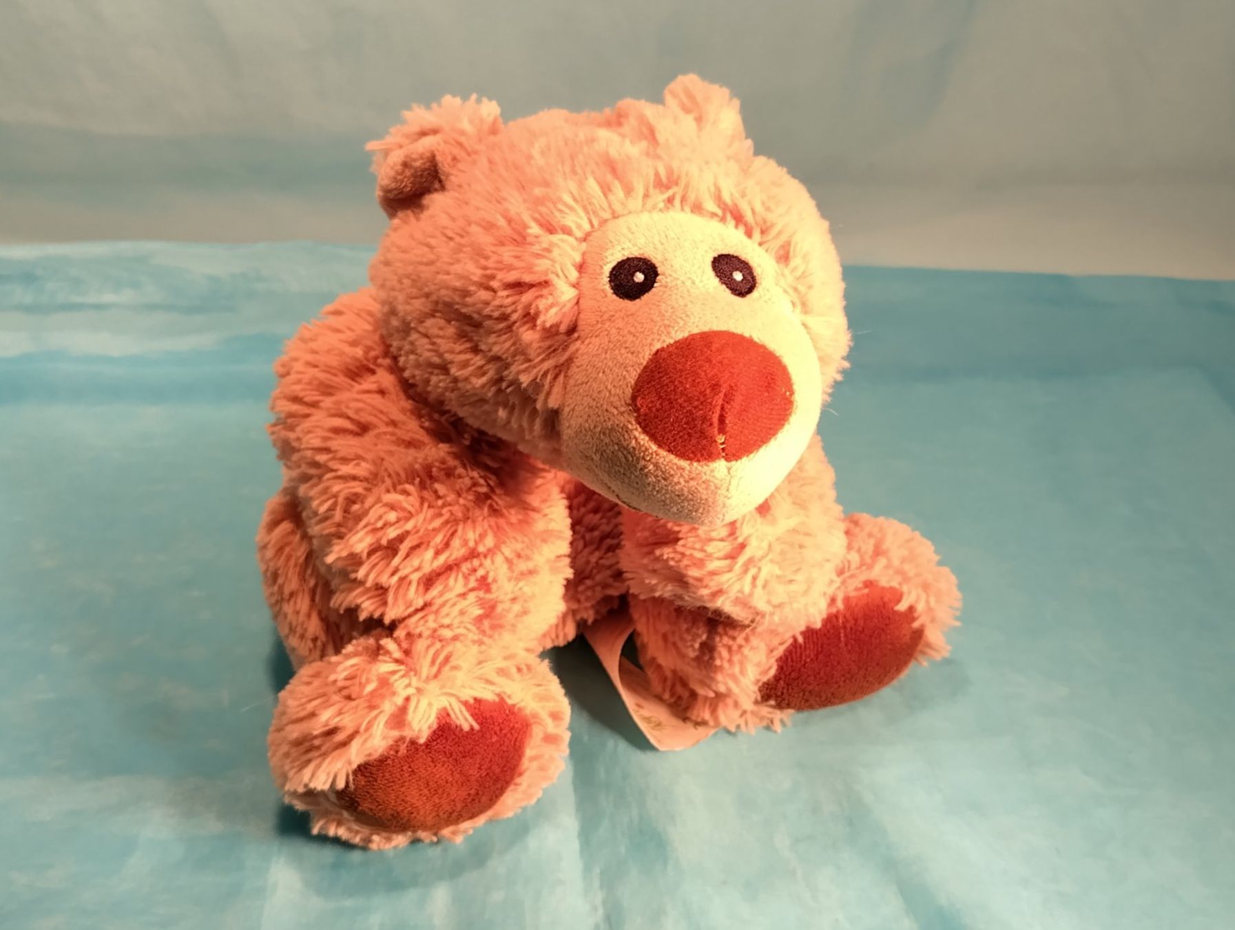Warmies Spielzeuge: Warmies Bär, L: 30cm – Gebraucht aus Bellach von JingleCherry 4