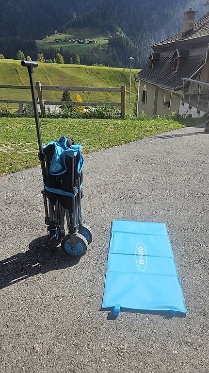 Chariots de transport: Bollerwagen micro – D'occasion à Davos Wiesen par mel_ls2c 2