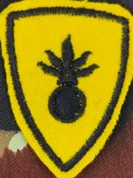 Motorisiertes Grenadier Bat 11 - Abzeichen (Versuch)