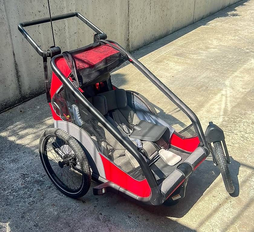 Anhänger: Kinderfahrradanhänger Flyer  – Gebraucht aus Brienz BE von ser_7w2x 1