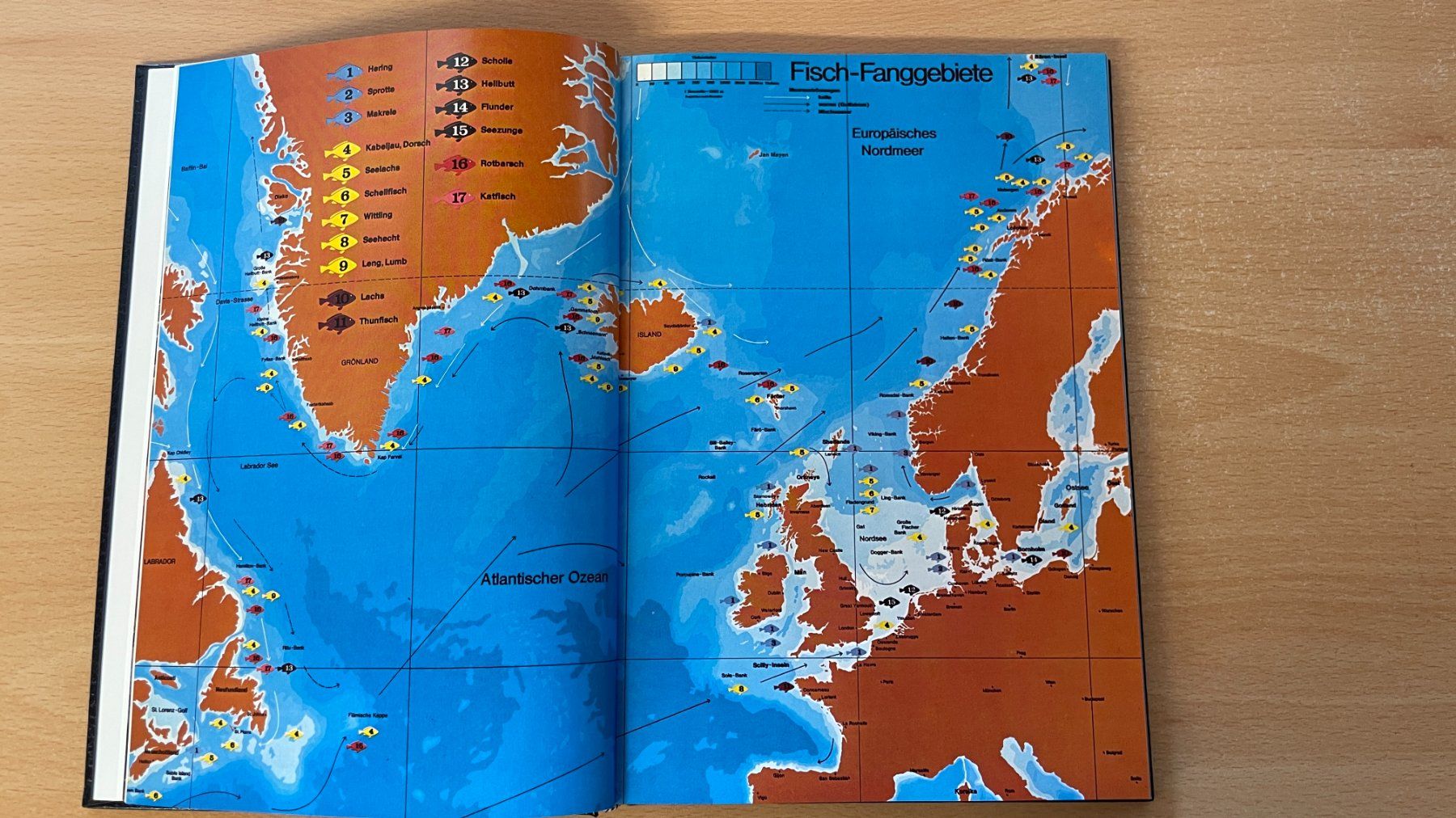 Libri: Fische - 75 pikante Rezepte – Usato da Glattfelden venduto da flomiking 5