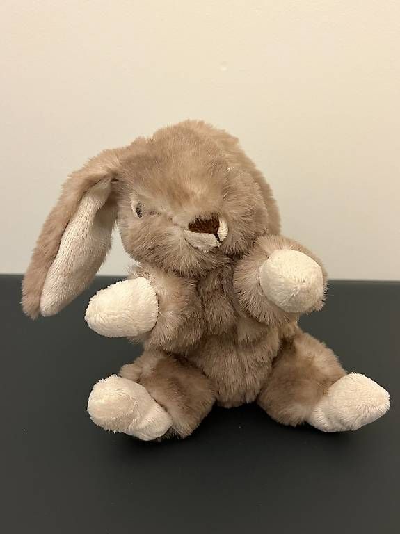 Spielzeuge: Inware Plush Bunny Rabbit – Gebraucht aus Auvernier von cai_9v9y 1