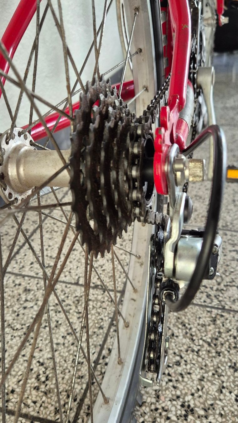 Biciclette: Kinder-MTB - VTT Enfants Affix – Usato da Basel venduto da Cellostoffeli 6