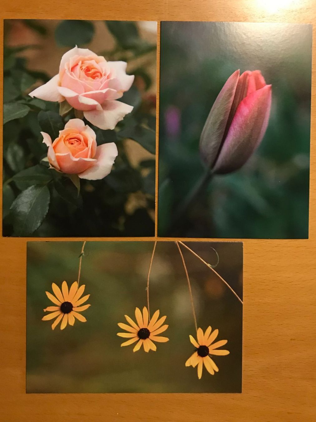 Cartoline postali: 3x Grusskarten Blumen – Usato da Luzern venduto da mey_s13