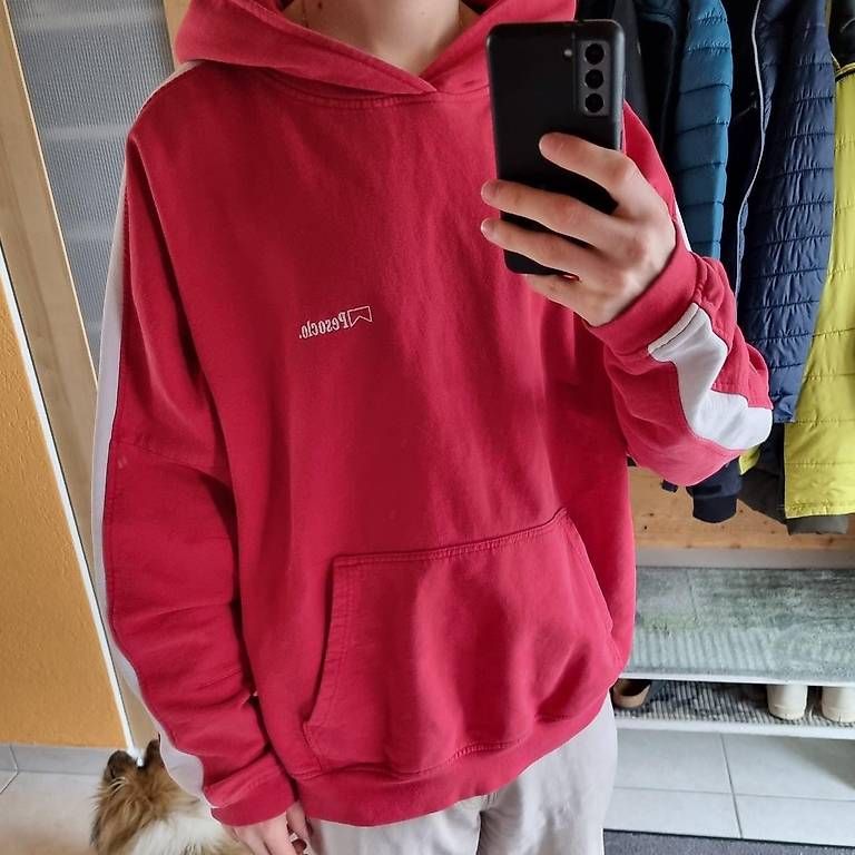Maglioni & Felpe: Pesoclo Hoodie L – Usato da Kleindöttingen venduto da mat_hxh9 4