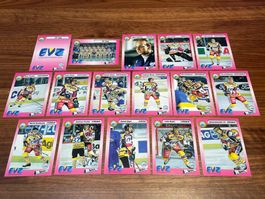 EV Zug Saison 1993/94 Hockey Cards