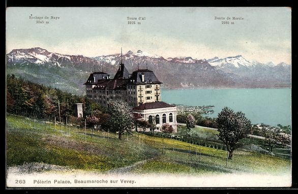 Ansichtskarten: AK Vevey, Pélerin Palace – Gebraucht aus Berlin von bartko-reher