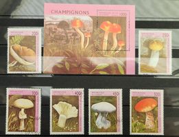 REPUBLIQUE DE GUINEE – PILZE / CHAMPIGNONS