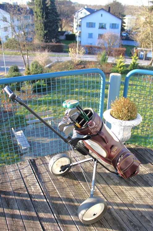 LIFEZEAL Golfset 15-teilig Komplettset - Inklusive Tasche Für Herren Rechtshänder