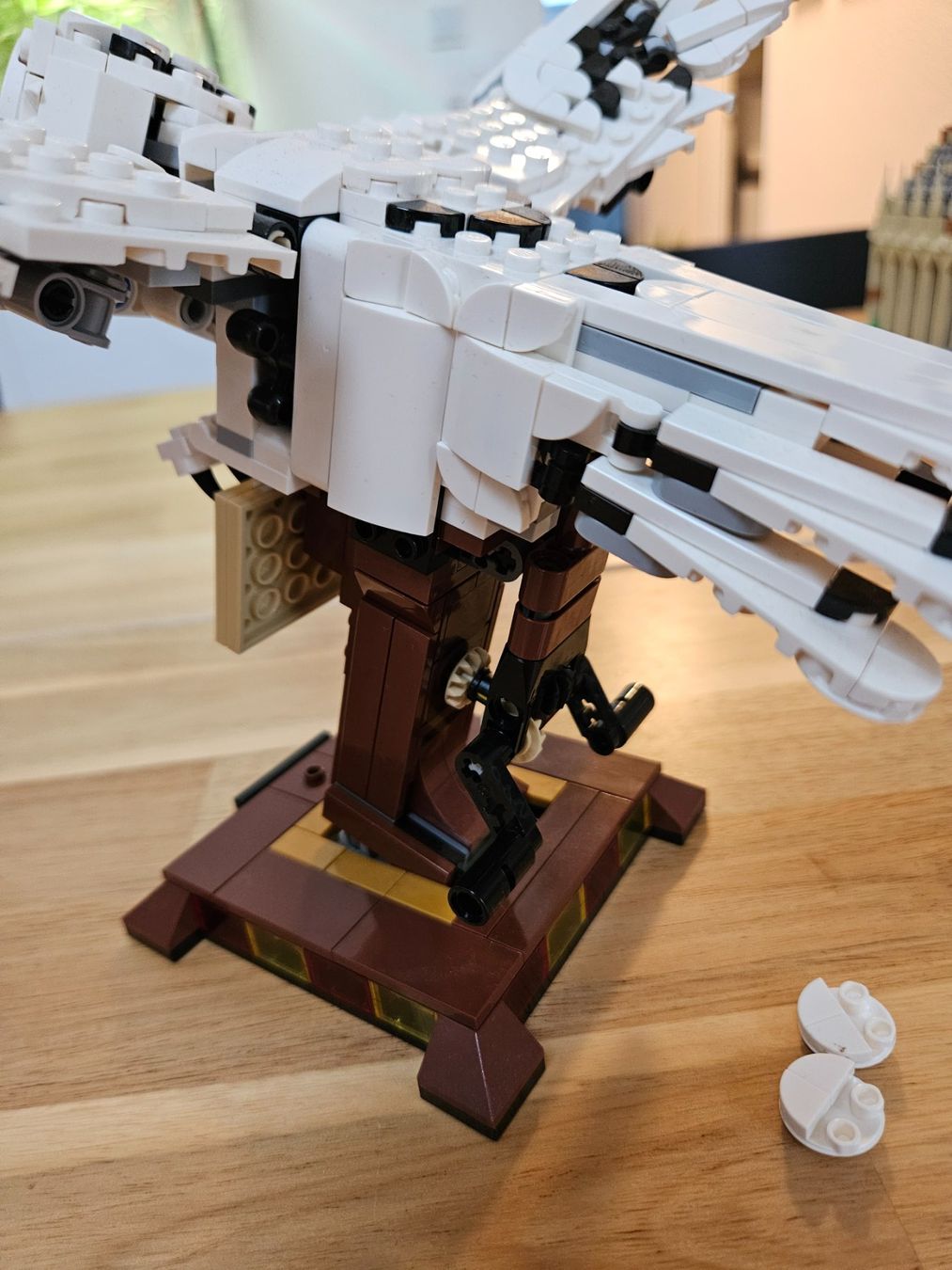 Lego Giocattoli: Lego Set Hedwig 75979 – Usato da Aesch BL venduto da bimmigelb 4