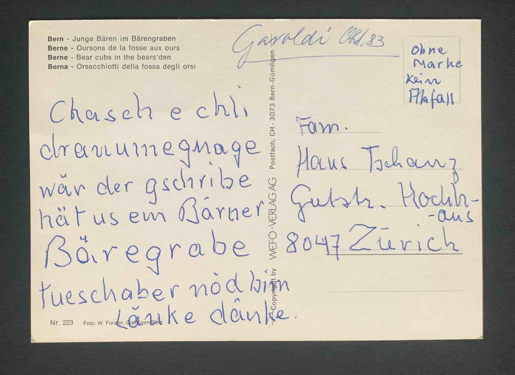 Cartoline postali: AK Bern Junge Bären im Bärengraben – Usato da Goldau venduto da artelier1 1
