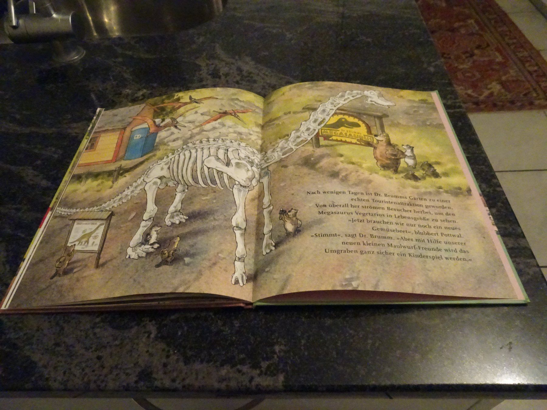 Libri: Bilderbuch  Dr. Brumm und der Megasaurus – Usato da Zürich venduto da Roulet 9