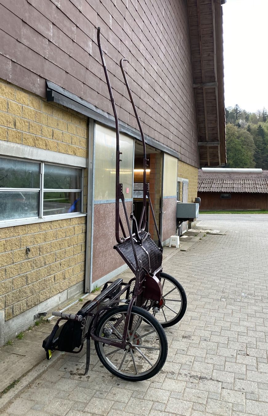 Carrozze: Einspänner-Kutsche, Gig – Usato da Brügg BE venduto da Nayeli02 2