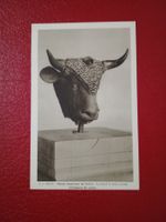 Sion Museum Valere Le Boeuf a trois Cornes