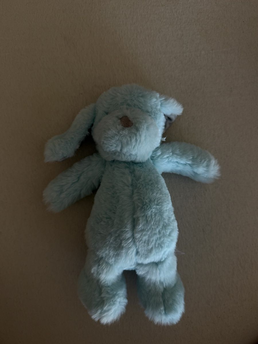 Giocattoli: Peluche chien bleu – Nuovo (secondo la descrizione) da Biel/Bienne venduto da ant_h25x