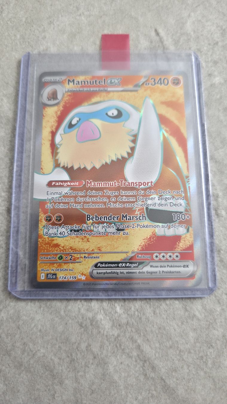 Pokémon Carte collezionabili: Mamutel & Flunschlik Full Art / Mega-Voltenso & Rexblisar Ex – Nuovo (secondo la descrizione) da Rorschach venduto da Craint 2