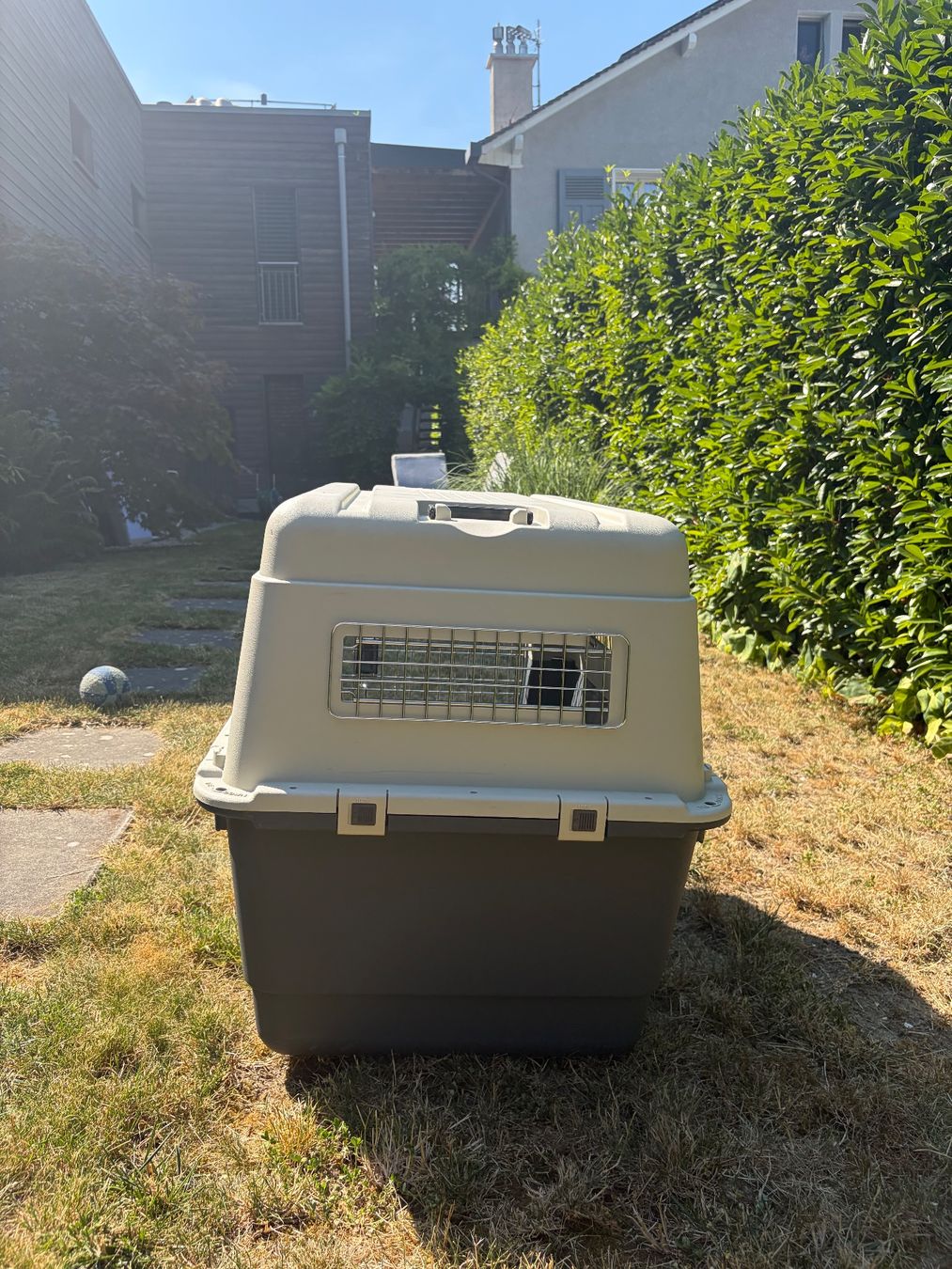 Gabbie, trasporto & Sicurezza: Karlie Hundetransportbox – Usato da Versoix venduto da Luca.uhl 3