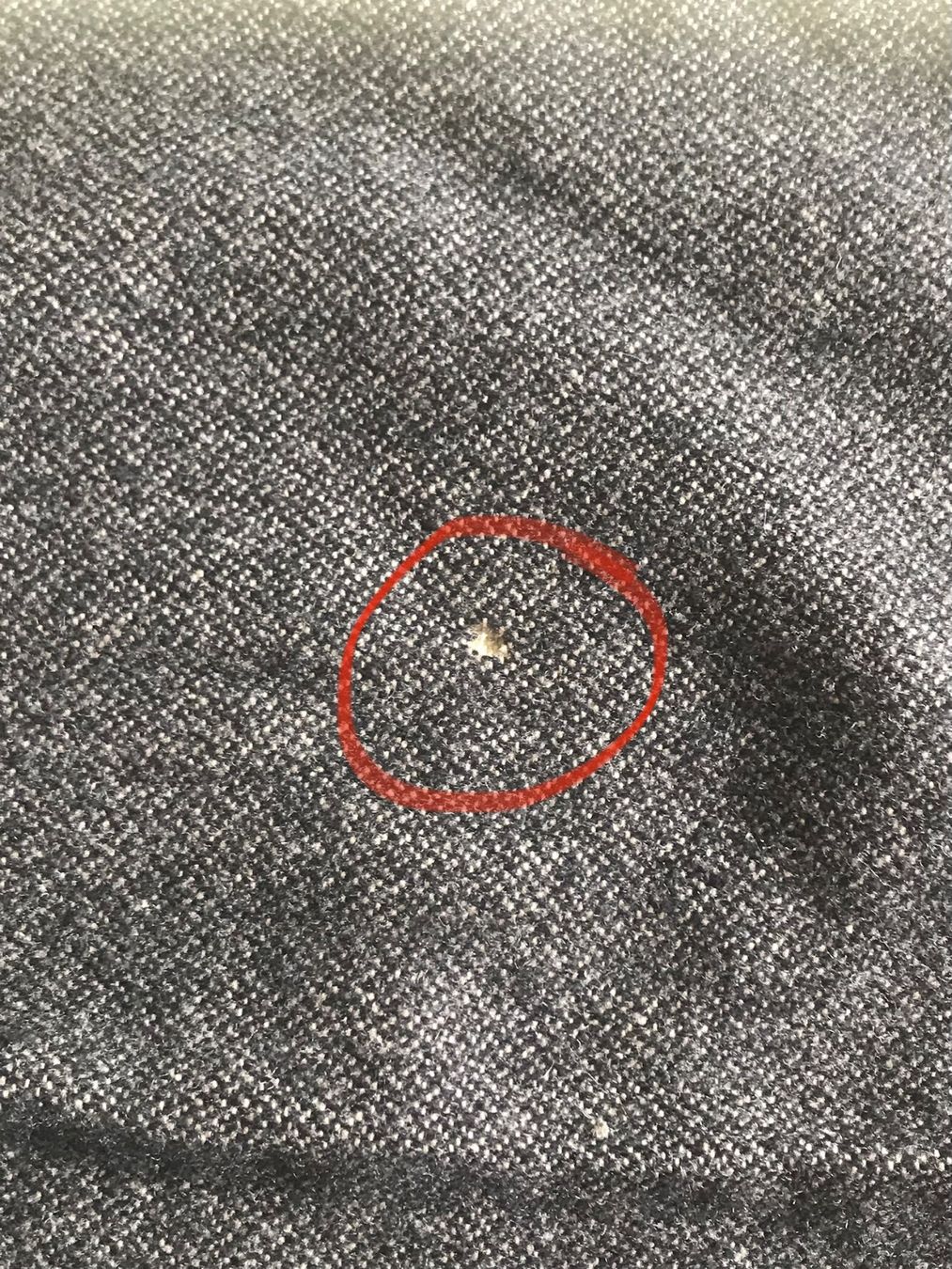 Lacoste Schals: Lacoste Wollschal – Defekt aus Olten von Fbone0 1