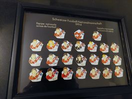 PIN-SAMMLUNG vom SFV - SCHWEIZER FUSSBALL-NATI 1994